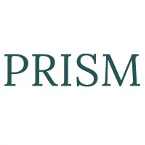 Prism Political Risk Management Logo