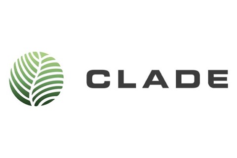 Clade